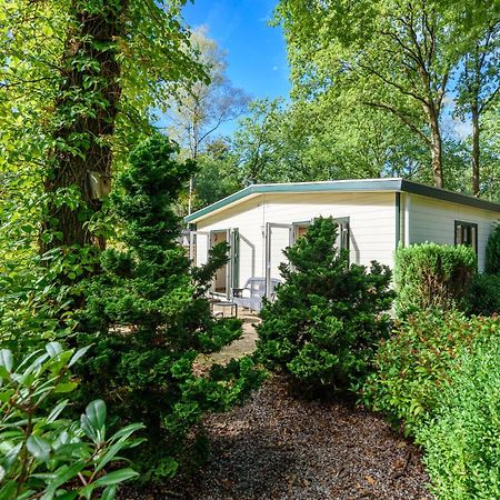 הונדרלו Luxe Familiehuis Veluwe 4-6 Persons Pool Kids Dog מראה חיצוני תמונה